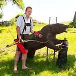 Gasthof Koglerhof 3* Ternberg