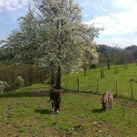 Penzion Koglerhof Ternberg