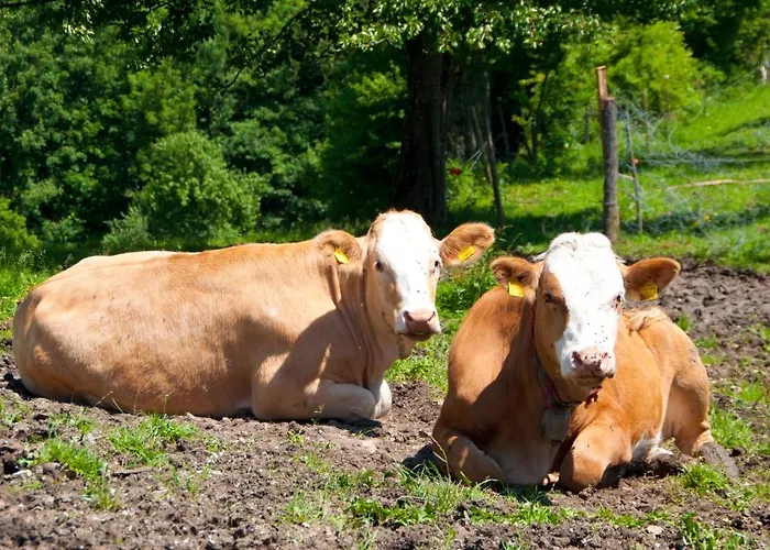 Gasthof Koglerhof Ternberg