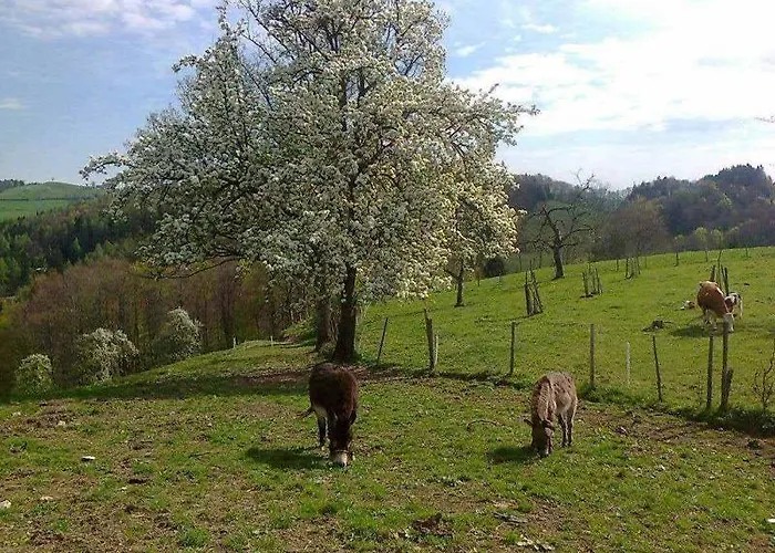 Gasthof Koglerhof Ternberg