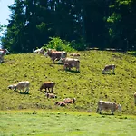 Gasthof Koglerhof Ternberg