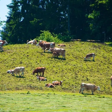Koglerhof Ternberg
